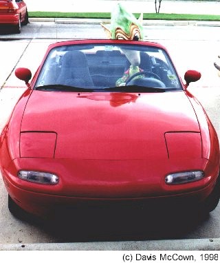 cfspcar.jpg (34098 bytes)