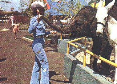 mdzoo2.jpg (54481 bytes)