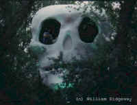 rwskull.jpg (15832 bytes)