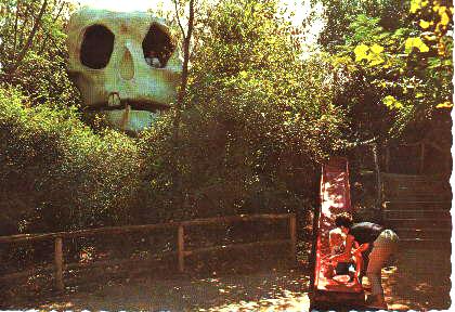 skull.jpg (42333 bytes)