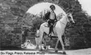 burro1.jpg (43549 bytes)